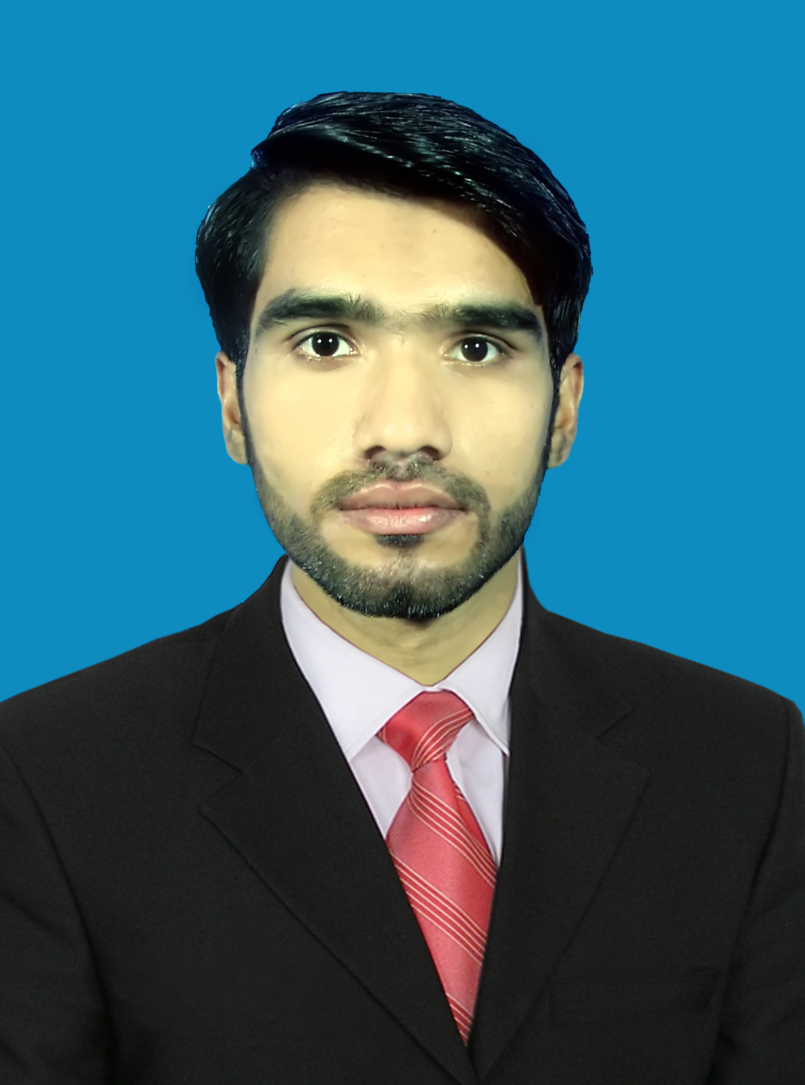 Ameer Hamza Profile Ameer Hamza Profile