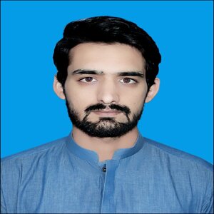 Muhammad Talha Ihsan Profile