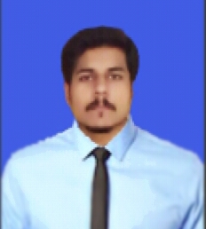 Ayyaz Hussain Arts & Crafts, Photo Editing, Word Processing, Writing, Test Plan Writing, Copy Editing, Translation, Research, Book Writing