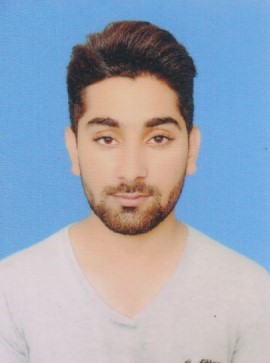 HASSAN WASEEM Profile HASSAN WASEEM Profile