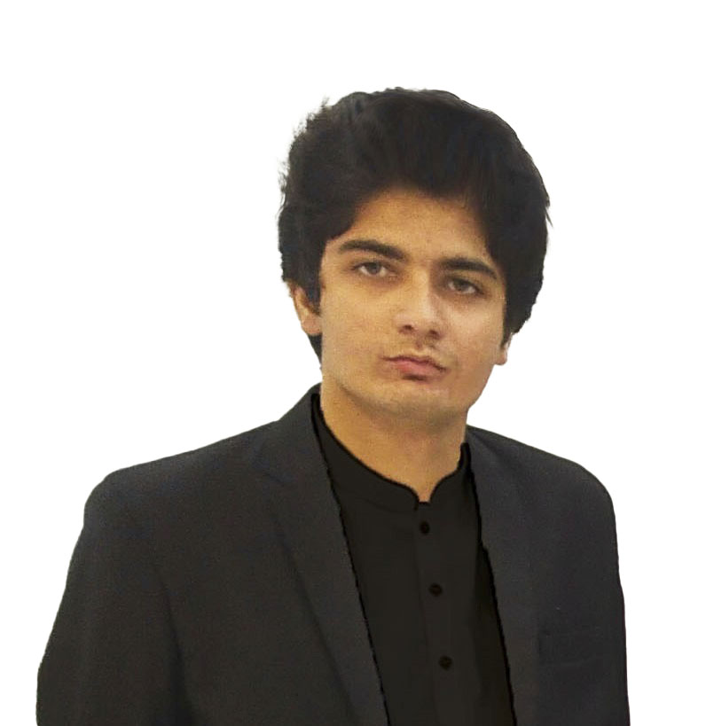 Ali Naqi Profile