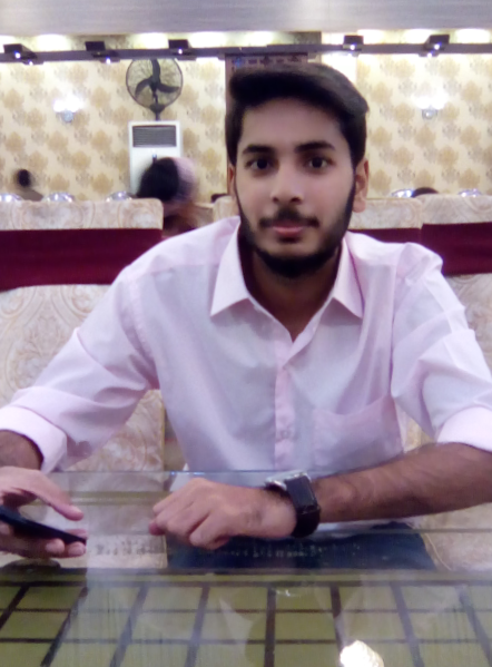 Ahmed Raza C Programming, C# Programming, Dreamweaver, Website Design, Excel, Dart, Java, Flutter, Netbeans, Power BI
