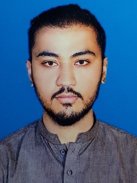 Muhammad Tajammul Hussain 