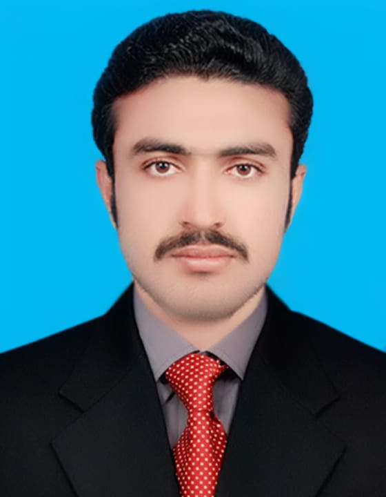 Syed Nalain Hassan 