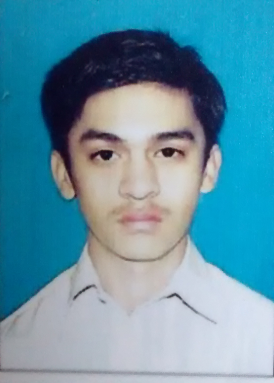 ADNAN MALIK CMS, C Programming, C++ Programming, Artificial Intelligence, Wordpress, HTML5, PHP