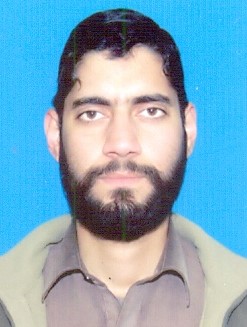 Muhammad Naveed Afridi Data Entry, Excel, Order Processing, Statistics