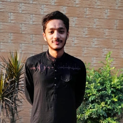 Hamza Sajid 