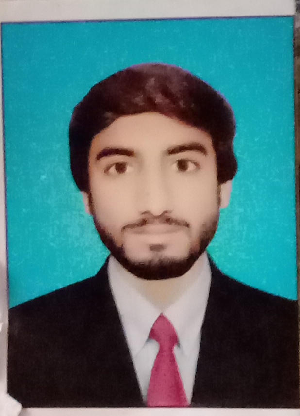 Asif Ali Business Plans