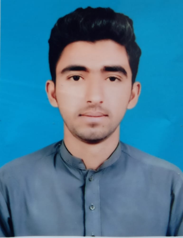 ALI RAZA Accounting, Audit, Data Analysis, Data Entry