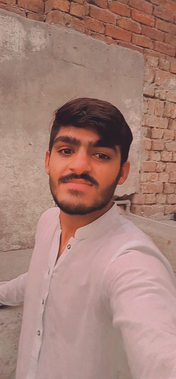 Faraz Butt Data Mining