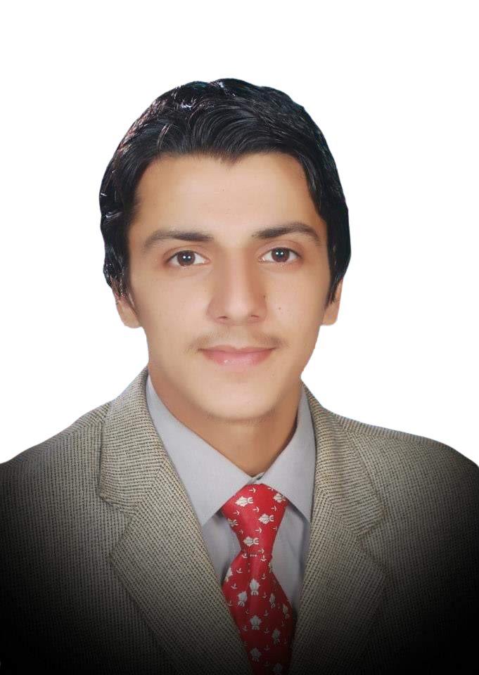 Shah Fahad Data Entry