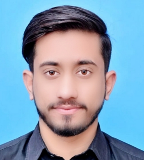 Ali Hamza 