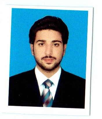 Sartaj Ahmed Data Entry, Excel, Windows 8