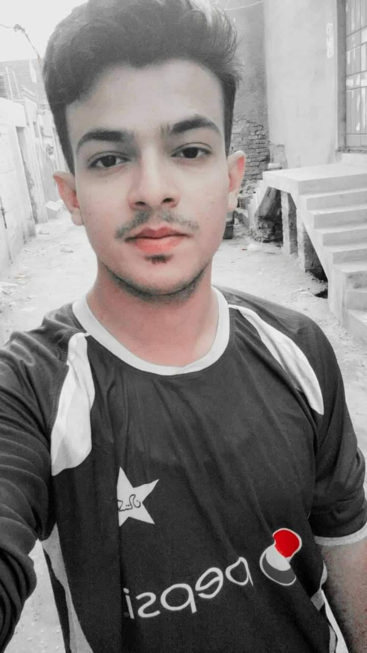 Sarvech Ali Profile Sarvech Ali Profile