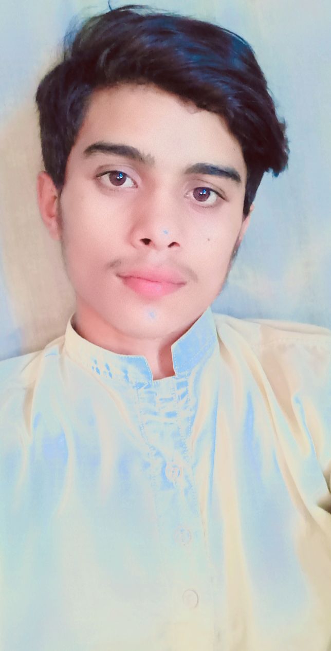 Mohsin Bashir Profile