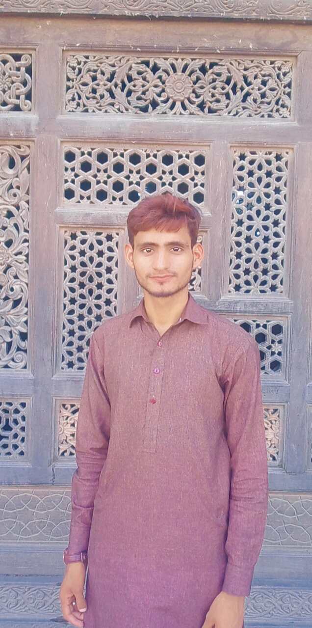 Muhammad Ali Hasnain Profile