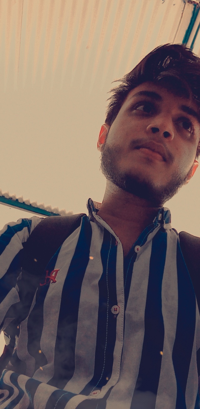 Syed Wali Haider Naqvi Concept Design, Photo Editing, Photography, Video Editing, Accounting, Finance, Management, Data Entry, Excel