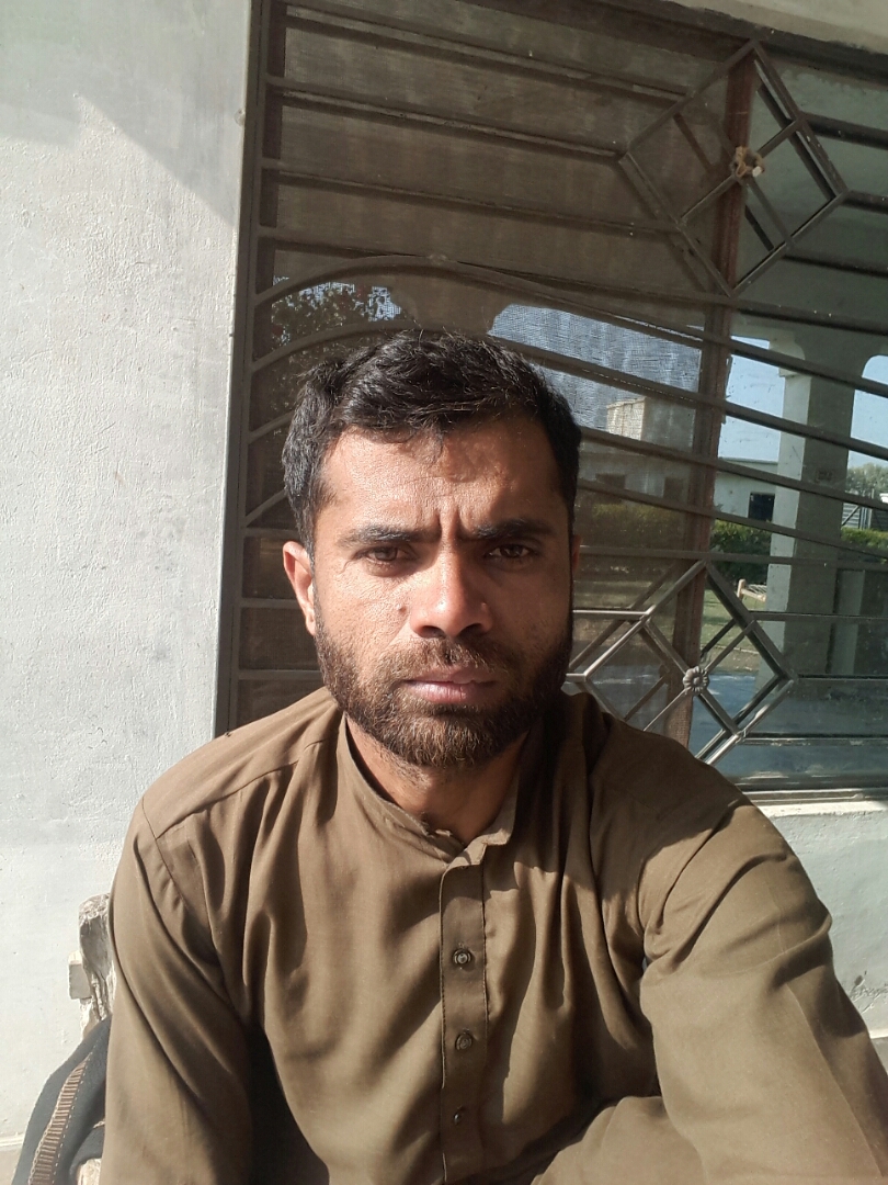 Muhammad Jahangir MS Office, Teaching