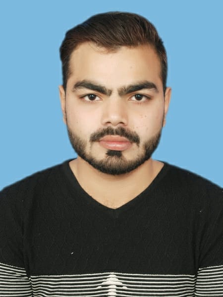 Husnain Zulfiqar Profile