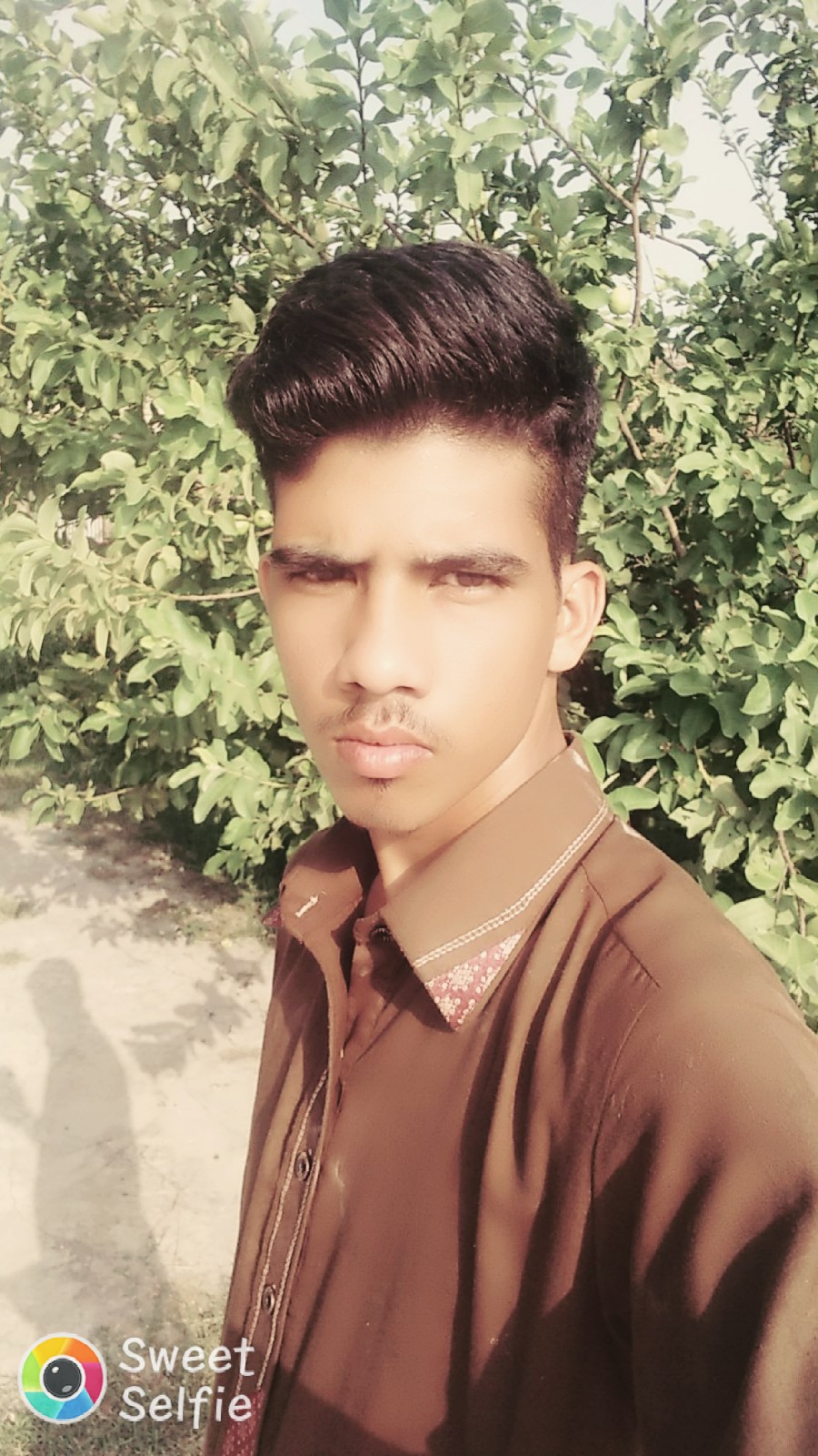 Taimour Saleem Profile