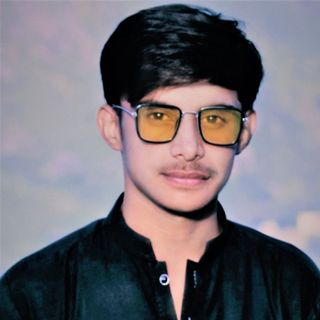 Raja Usman Nawaz English Typing, Video Editing, Adobe Photoshop, Adobe Premiere Pro, MS Office, 3D Animation