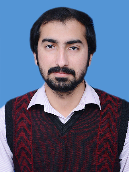 Waqar Hyder Accounting, Audit, Business Analysis, ERP, Finance, Human Resources, Payroll, Tax, Tax Law, External Auditing