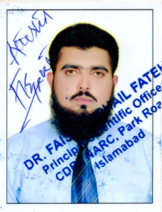 Hafiz Muhammad Ismail Geographical Information System (GIS), MS Office, English Typing, Shorthand, Print, Typography, Flow Charts, Sketch, Photo Restoration, 3D Rendering