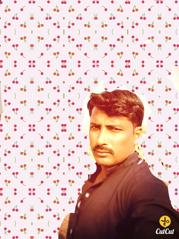 Wazeerali Unar English Typing, Driving, MS Office, 3D Design, 3ds Max, Advertisement Design