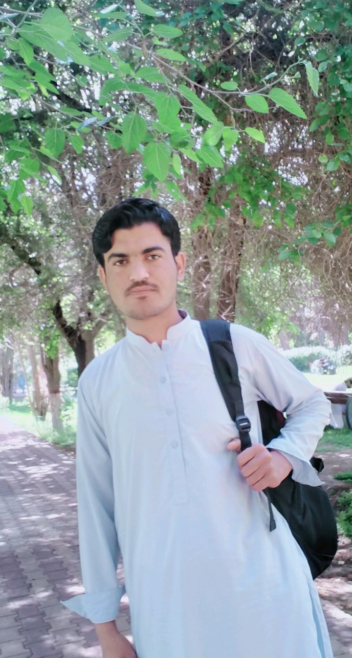 Muhammad Shafey Profile