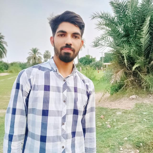 Muhammad Bilal Amir MS Office, Bootstrap, WEBDEV, Laravel, CSS, English Typing, PHP, Javascript
