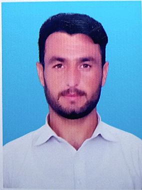 Syed Sajid Urdu Typing, English Typing, Cooking, Driving, MS Office