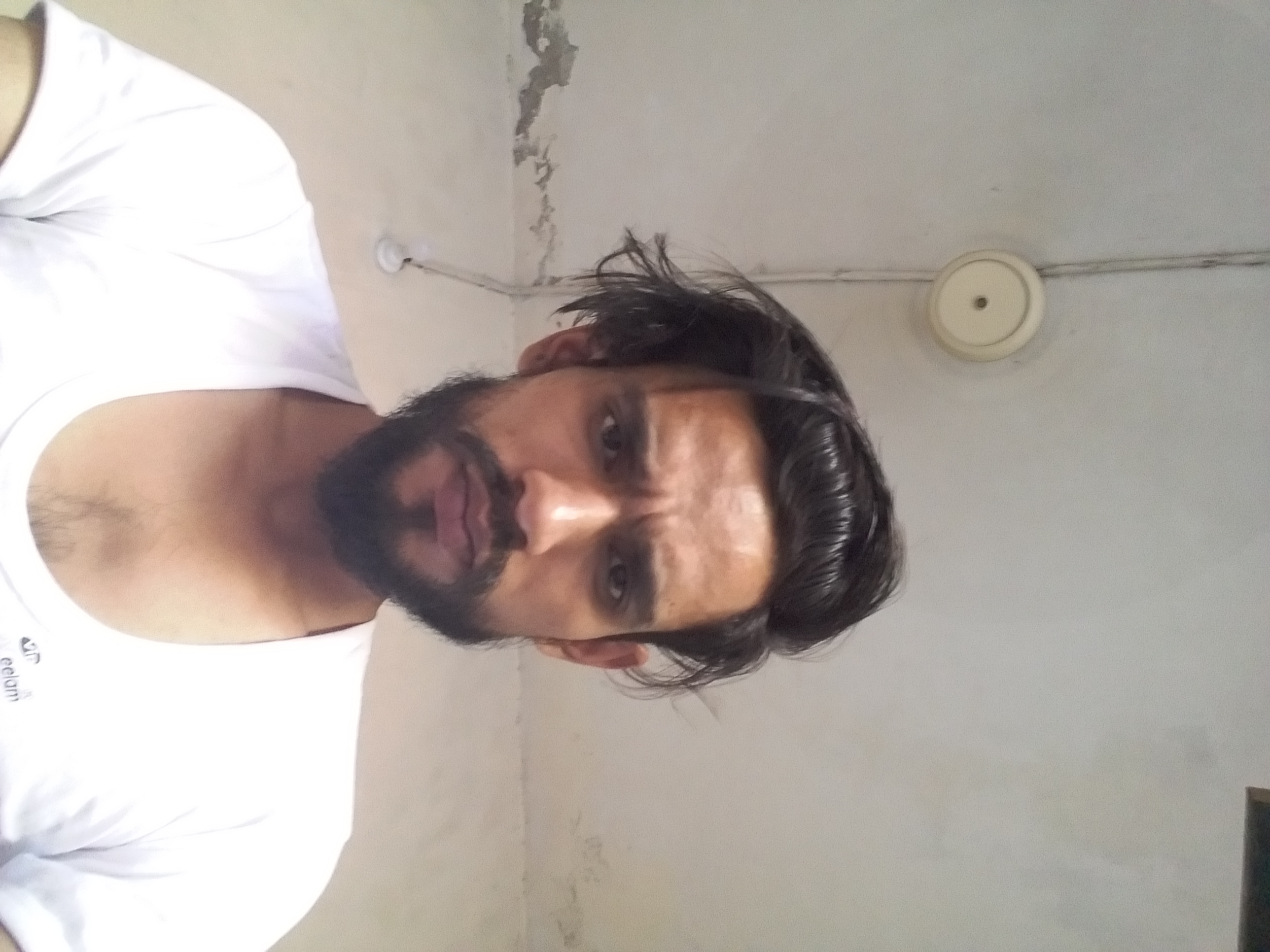 Haseeb Naeem English Typing, MS Office