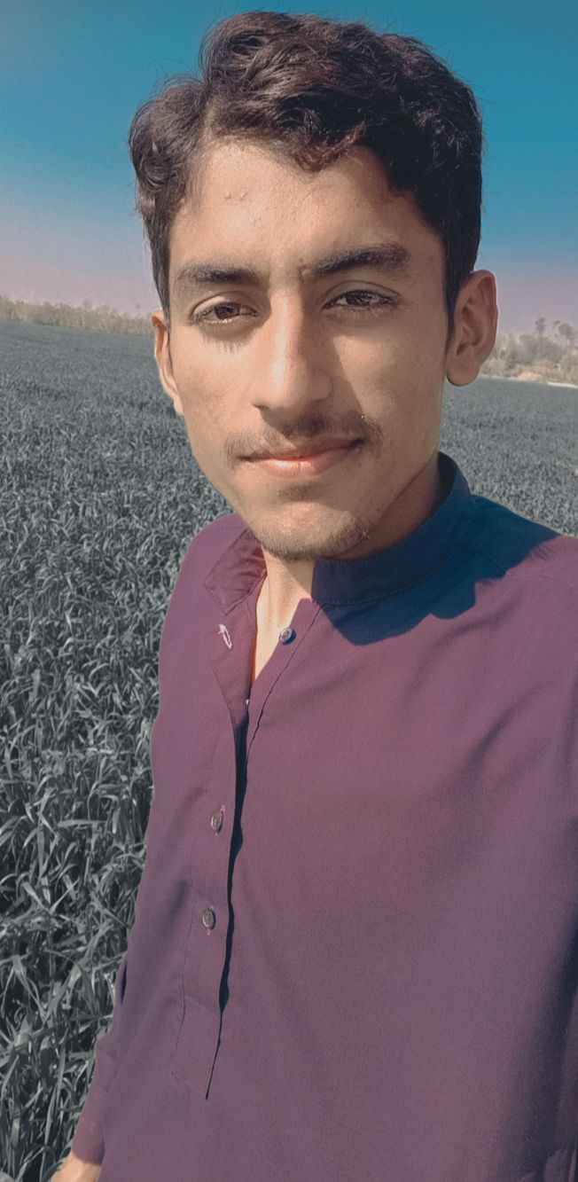 Amir Nazeer Profile Amir Nazeer Profile