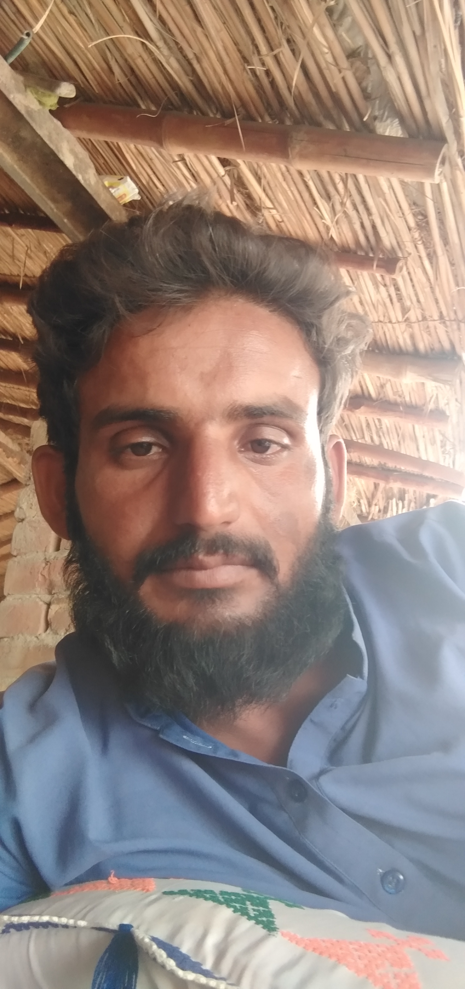 Sher Gul Profile Sher Gul Profile