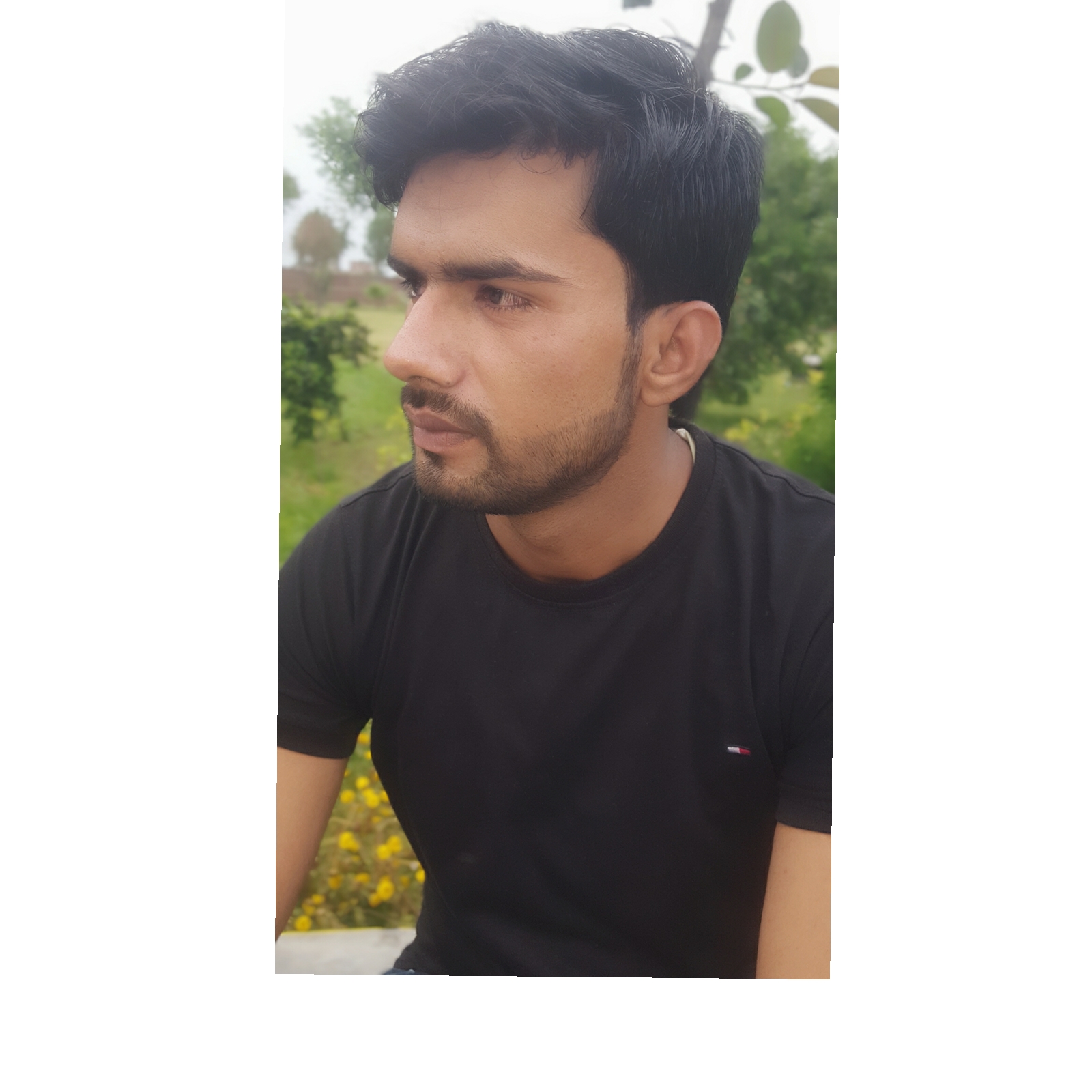 Wajid Ali Profile