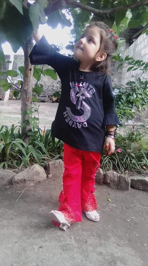 Roman Kawish Profile Roman Kawish Profile