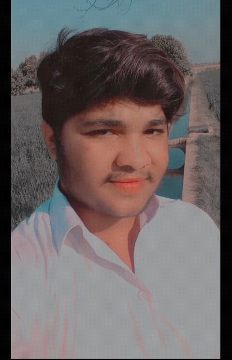 ADIL NAVEED Profile ADIL NAVEED Profile