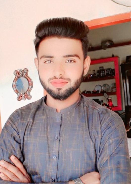 Ameer Hussain Profile