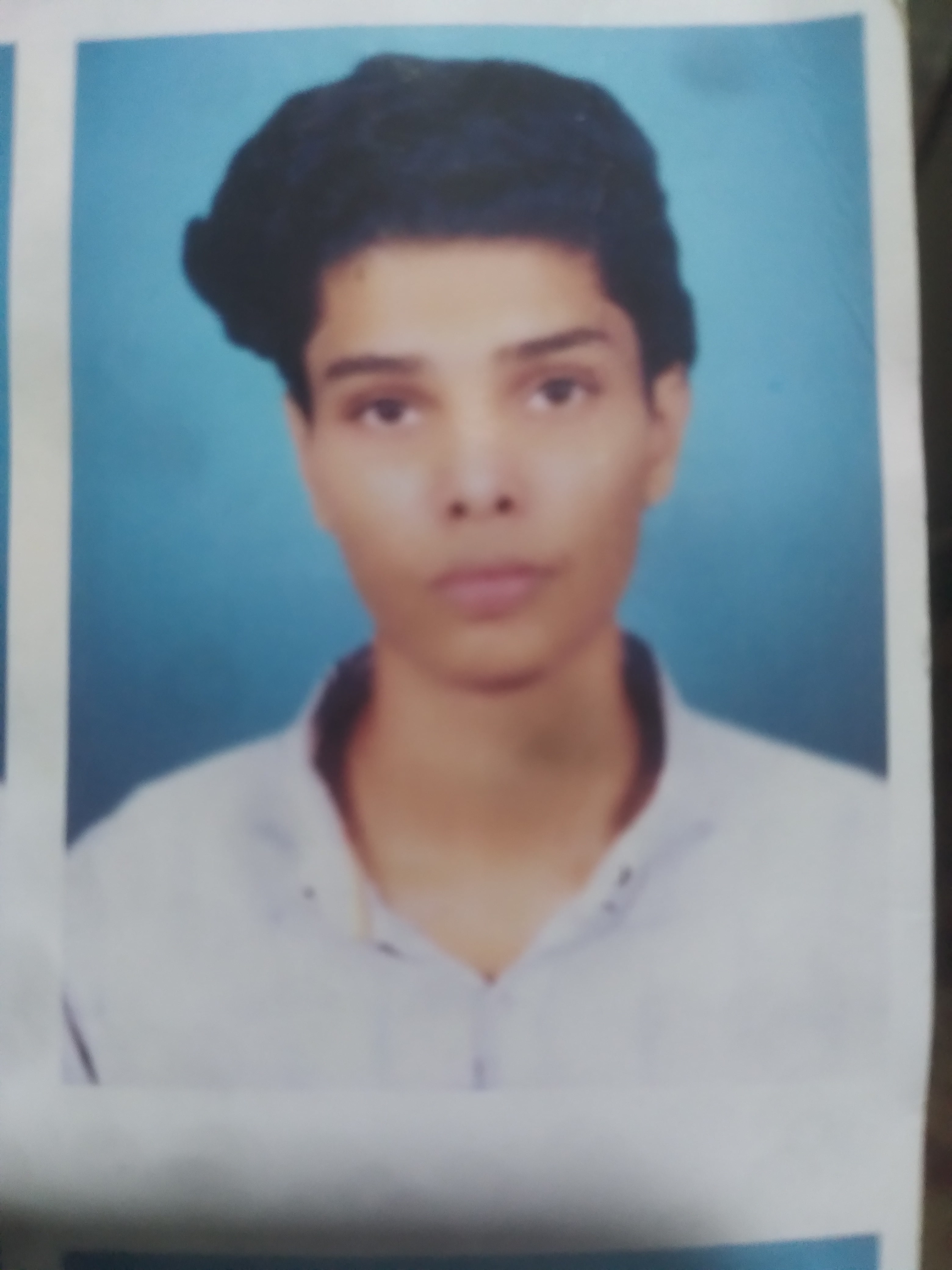 Ahmed Jawad Python, MySQL, Link Building