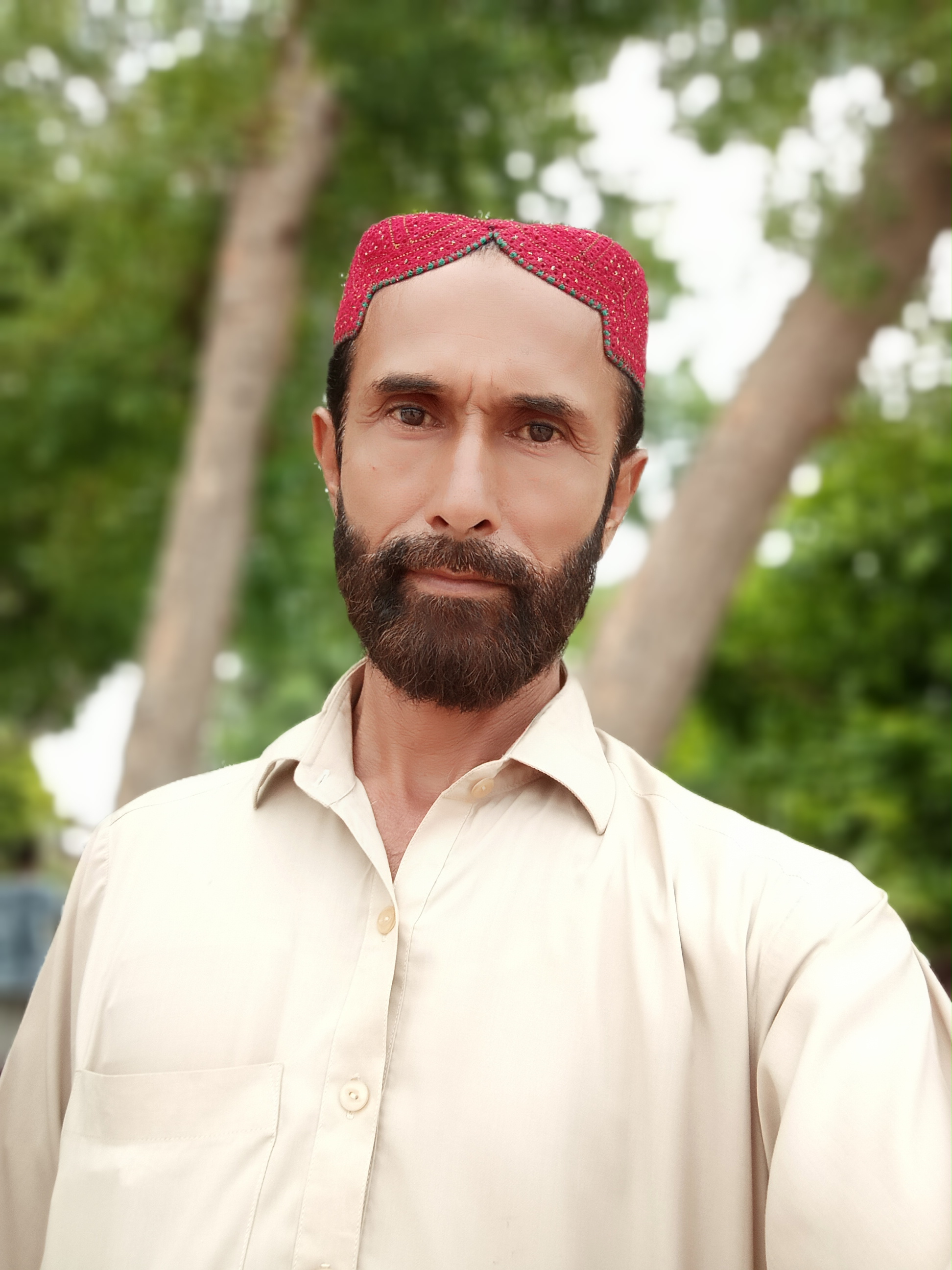 Dilshad Ali Profile Dilshad Ali Profile