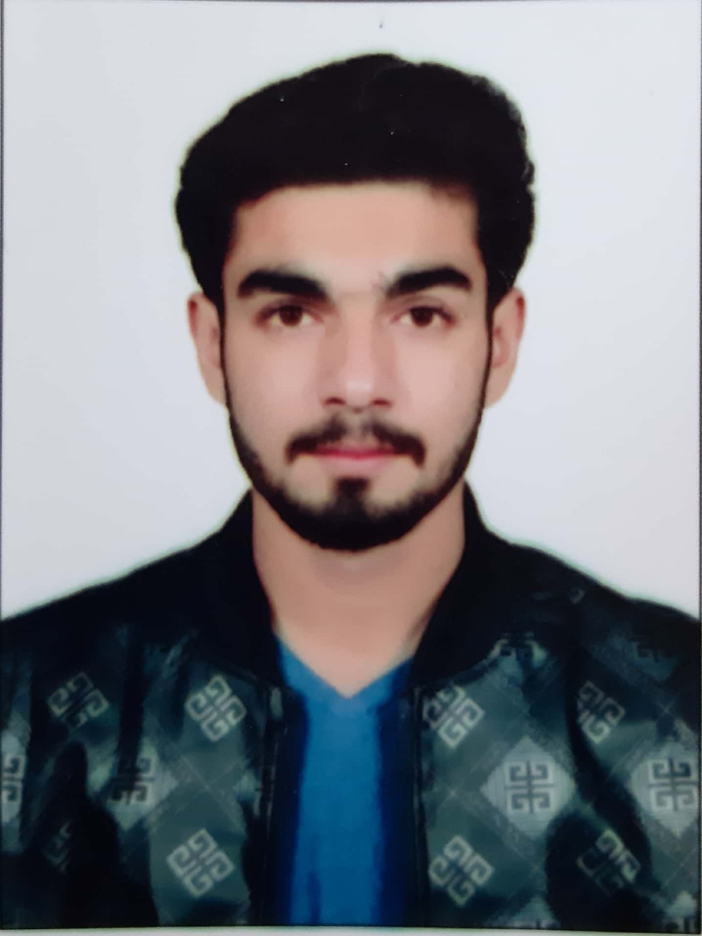 Syed Abdul Moiz Shah English Typing, MS Office, Videography, Photography, Logo Design