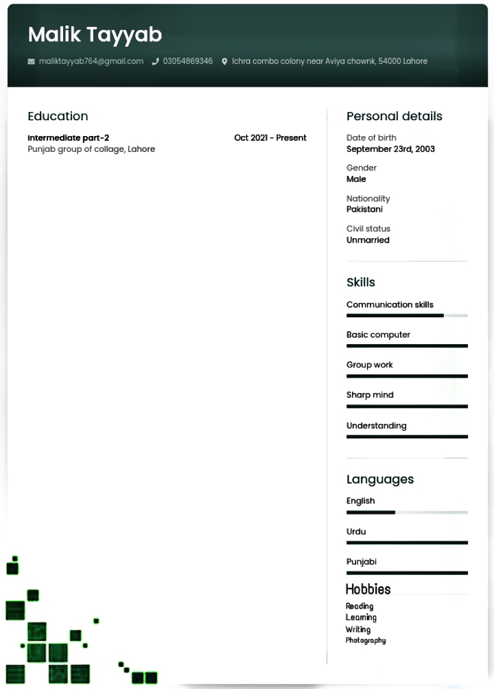 Malik Tayyab Shorthand, English Typing, MS Office, 3D Design, Graphic Design, Customer Support, Communications