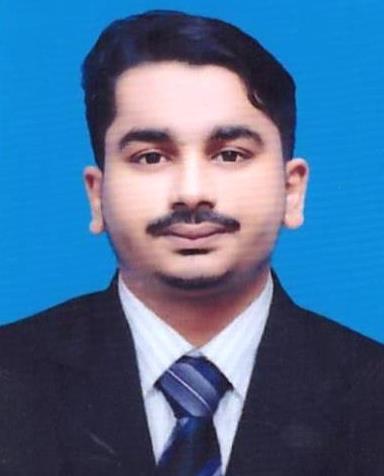 Hassan Anwar MS Office, Communications, Financial Analysis, Financial Accounting, Audit