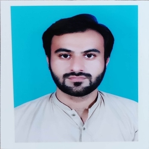 Muhammad Hamza Imran Profile
