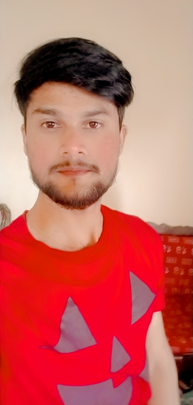 Hafiz Muhammad Hamza Profile Hafiz Muhammad Hamza Profile