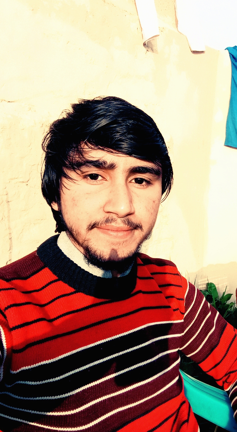 HAMZa Ali Photo Editing, Photography, Cooking, Weddings, Unit4 Business World, Transfer Pricing, Career Consulting, Trademark Registration, Trademark