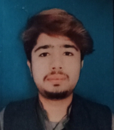 Muhammad Khizar Payroll, Property Development