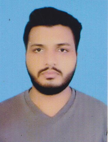 Muhammad Adeel Fayyaz MS Office