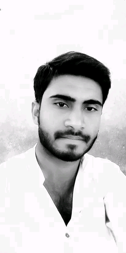 Abdul Hameed Profile