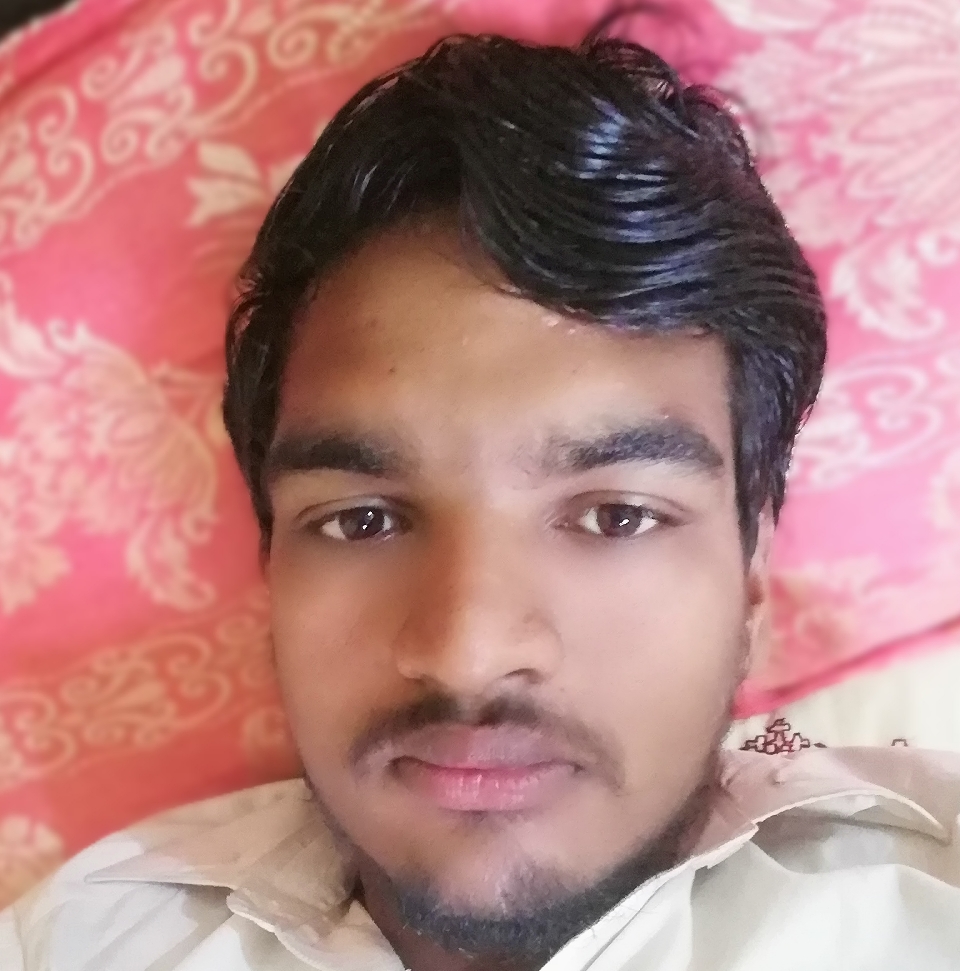 Tauseef Ahmed Arts & Crafts